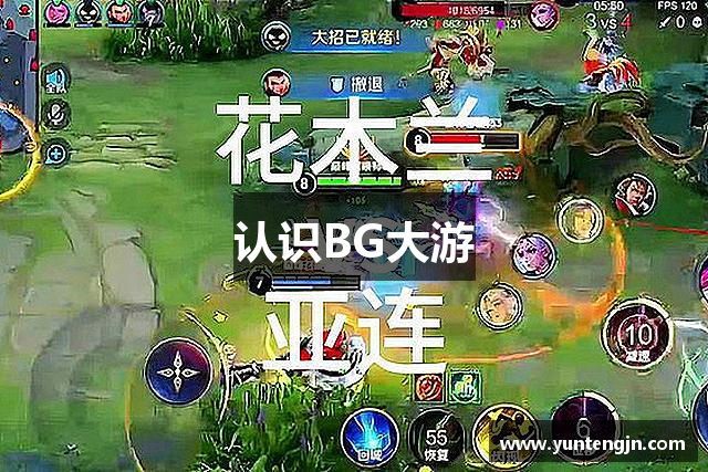 认识BG大游
